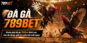 Đá Gà 789bet: Đá gà trần 789bet khám phá cách chơi sao cho hiệu quả với người mới