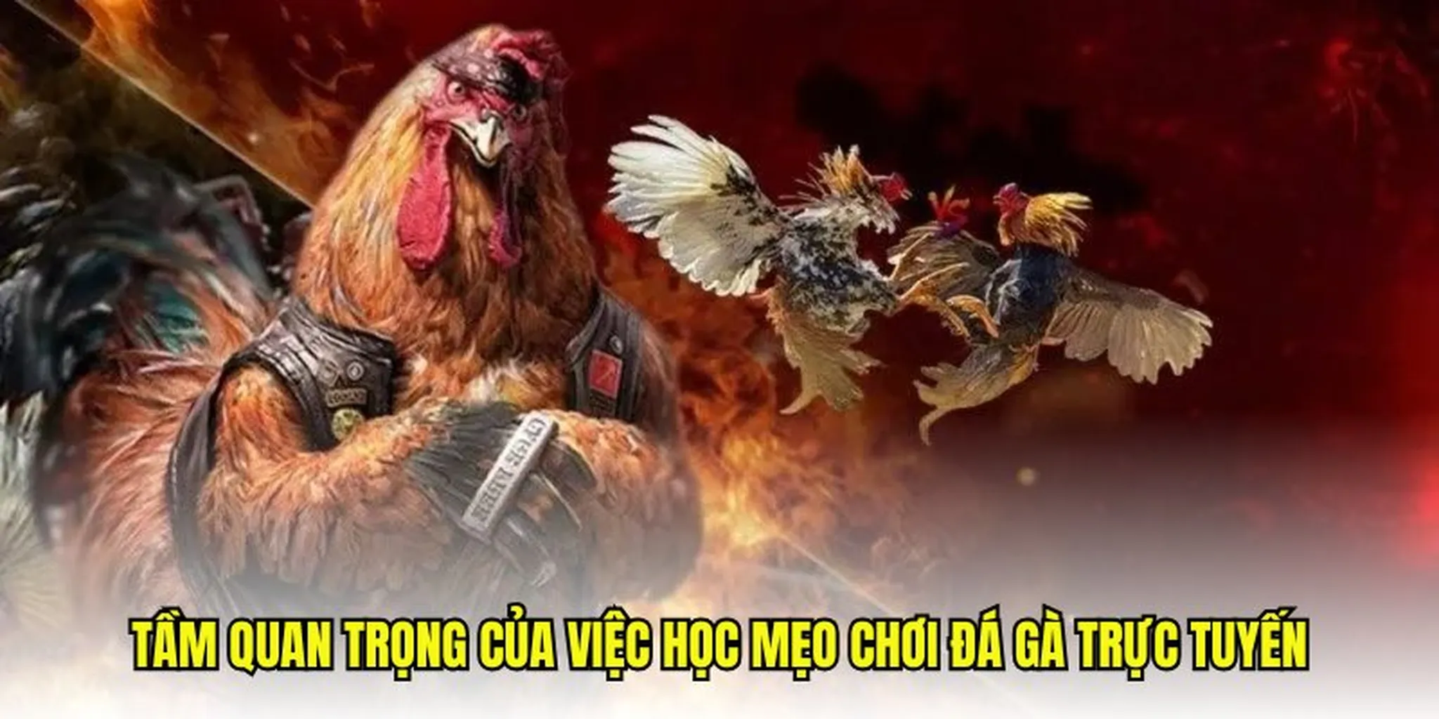 Đá gà 789bet: mẹo cược đá gà 789bet luôn thắng.
