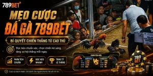 Đá gà 789bet: Mẹo cược đá gà 789bet, Bí quyết chiến thắng từ cao thủ