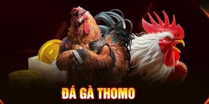 Đá gà 789bet: tìm hiểu về đá gà trần 789bet.
