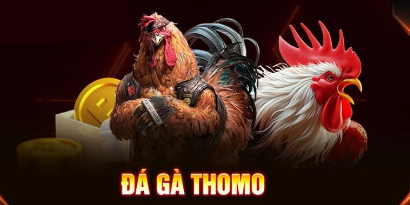 Đá gà 789bet: tìm hiểu về đá gà trần 789bet.